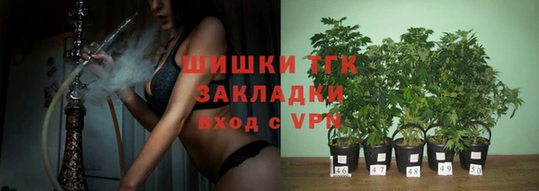 ПСИЛОЦИБИНОВЫЕ ГРИБЫ Покров
