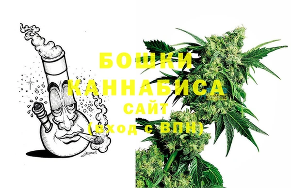PSILOCYBIN Абдулино