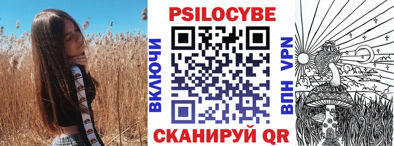 OMG зеркало  Инза  Галлюциногенные грибы Magic Shrooms 